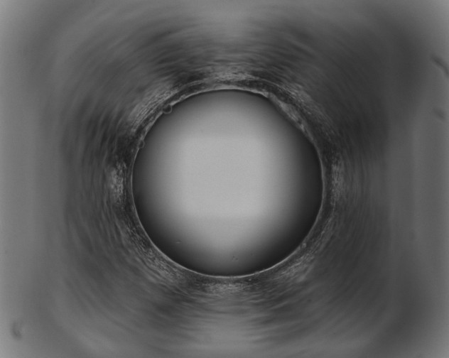 X0000103461257200809121555