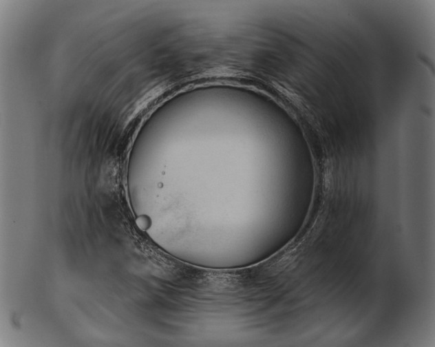 X0000103461258200809121555