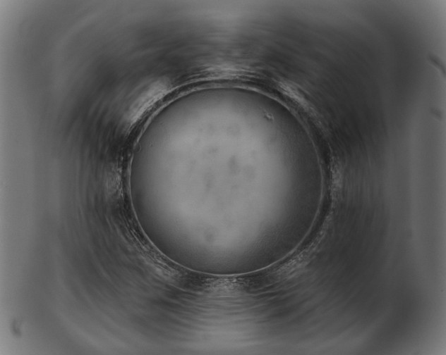 X0000103461259200809121555