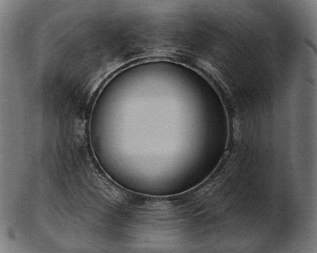 X0000103461260200809121555