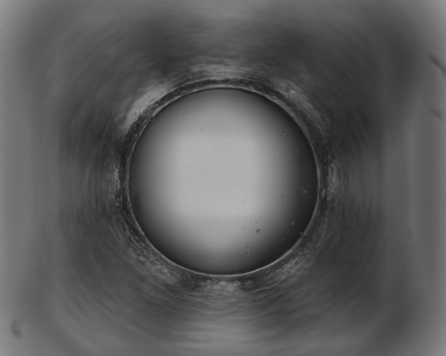 X0000103461261200809121555