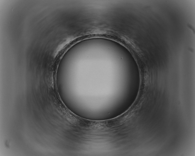 X0000103461262200809121555