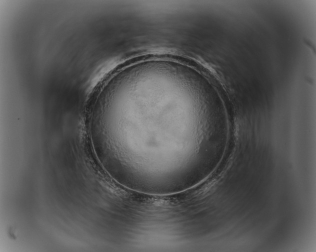 X0000103461263200809121555