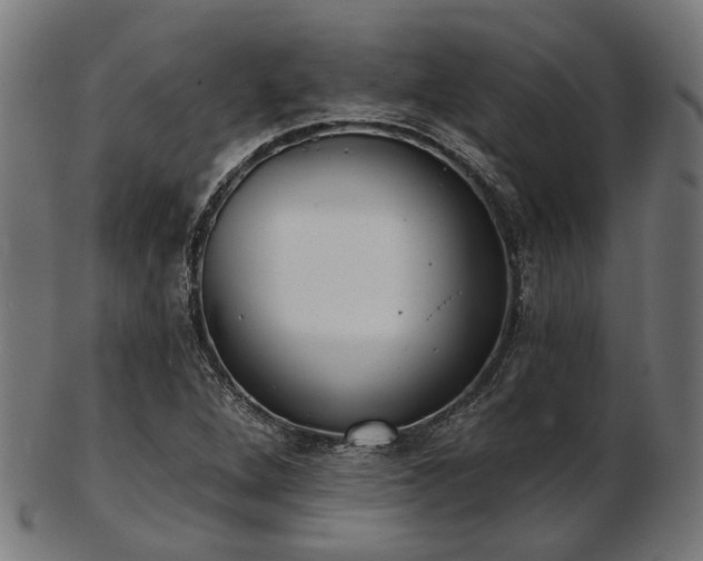X0000103461264200809121555