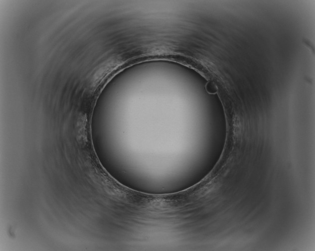 X0000103461265200809121555