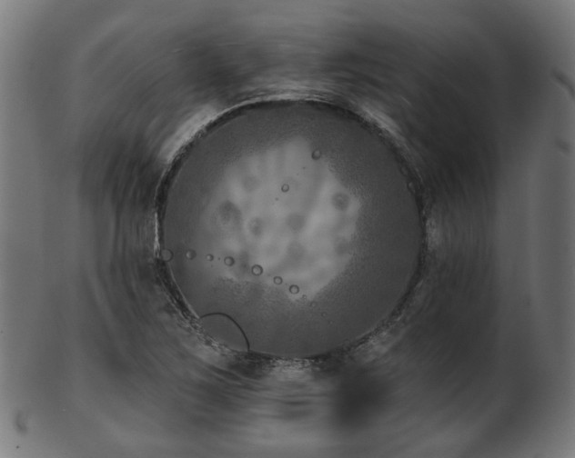 X0000103461267200809121555