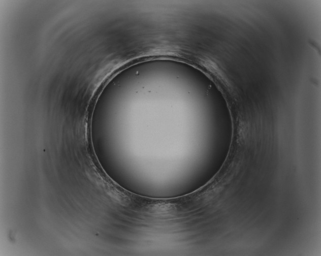 X0000103461268200809121555