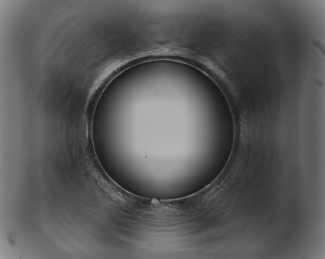 X0000103461270200809121555