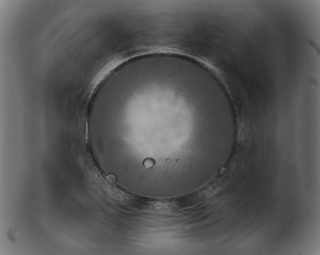 X0000103461271200809121555