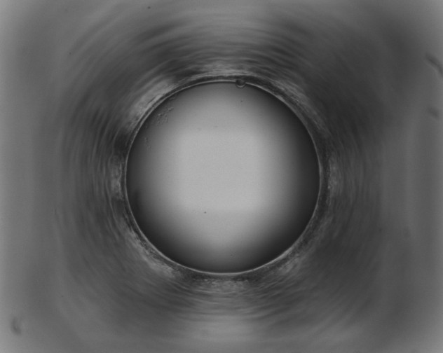 X0000103461273200809121555