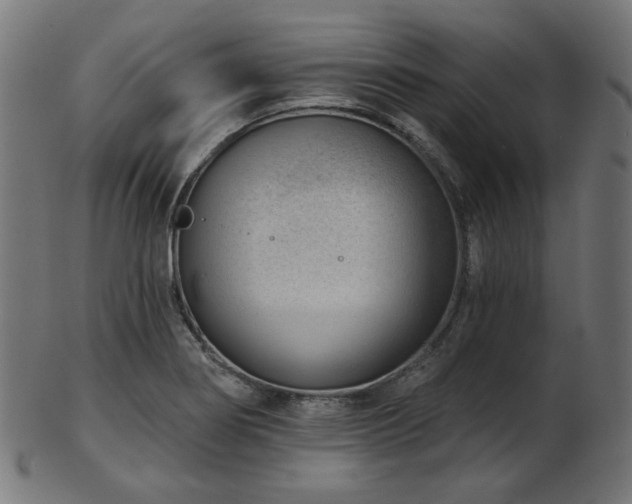 X0000103461274200809121555