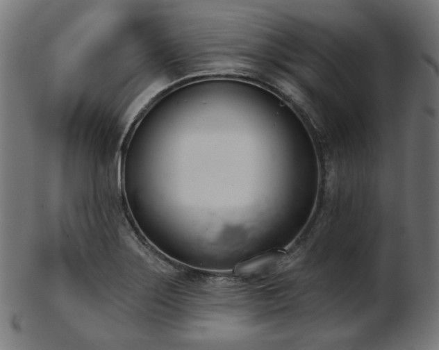 X0000103461275200809121555