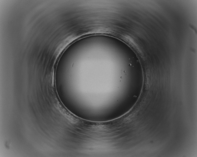 X0000103461276200809121555