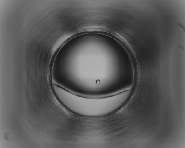 X0000103461277200809121555
