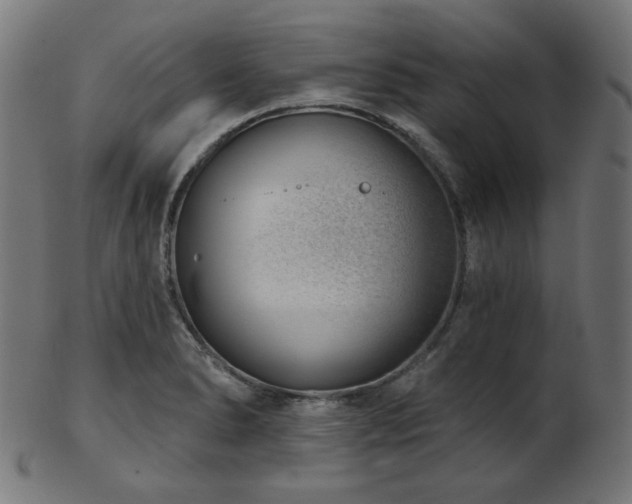 X0000103461278200809121555