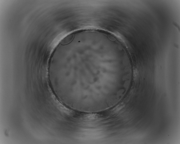 X0000103461279200809121555