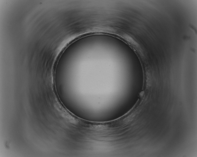 X0000103461280200809121555