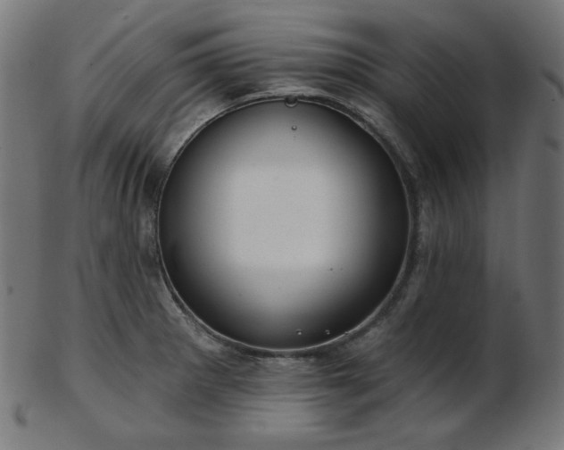 X0000103461281200809121555