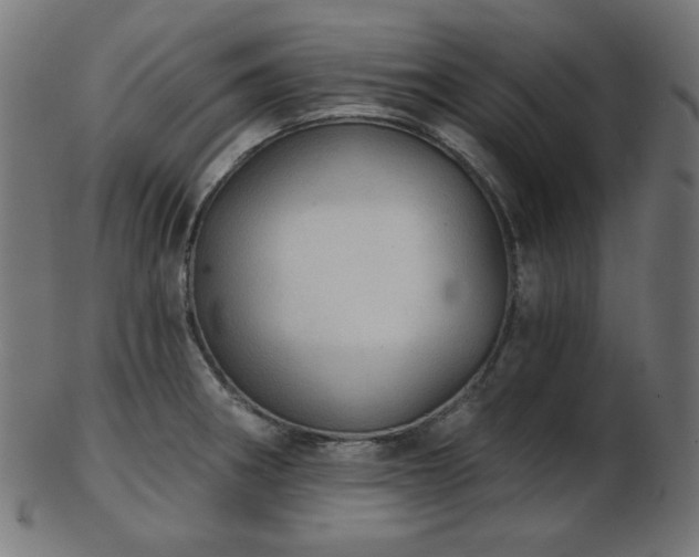 X0000103461282200809121555