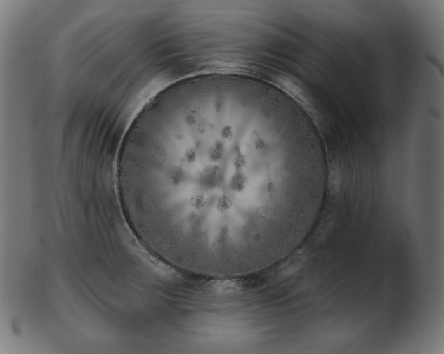 X0000103461283200809121555