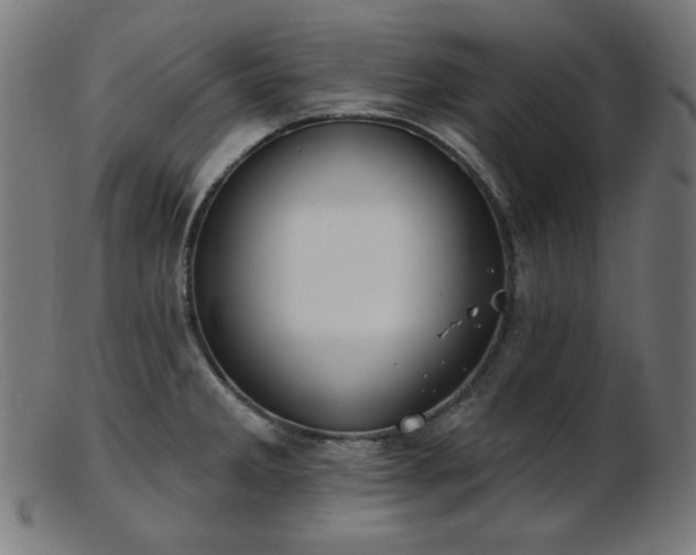 X0000103461285200809121555
