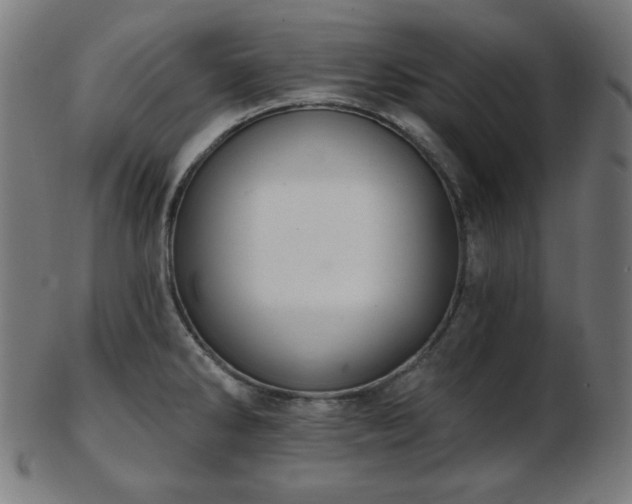 X0000103461286200809121555