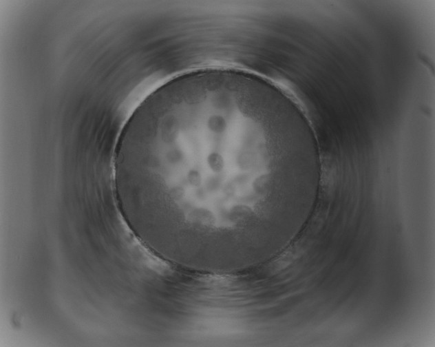 X0000103461287200809121555