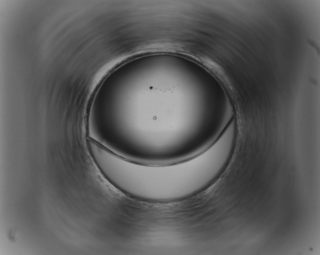 X0000103461288200809121555