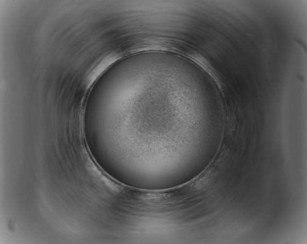 X0000103461290200809121555