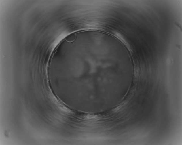 X0000103461291200809121555