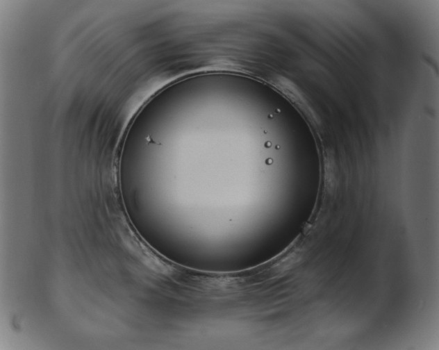 X0000103461292200809121555