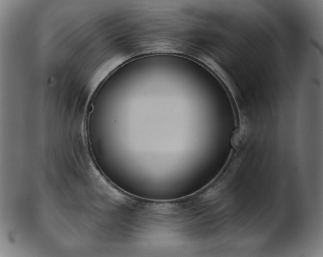 X0000103461293200809121555
