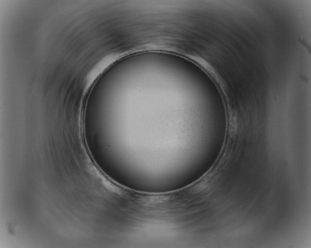 X0000103461294200809121555