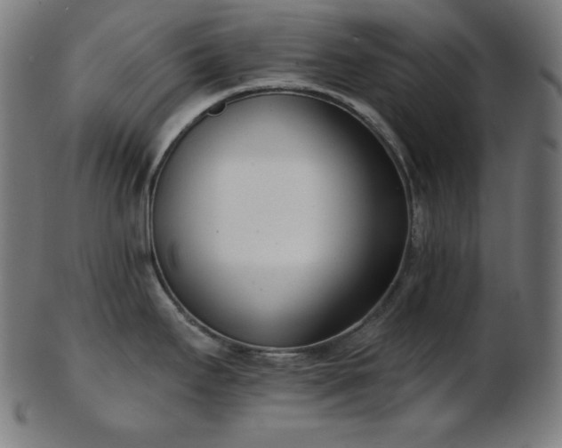 X0000103461295200809121555