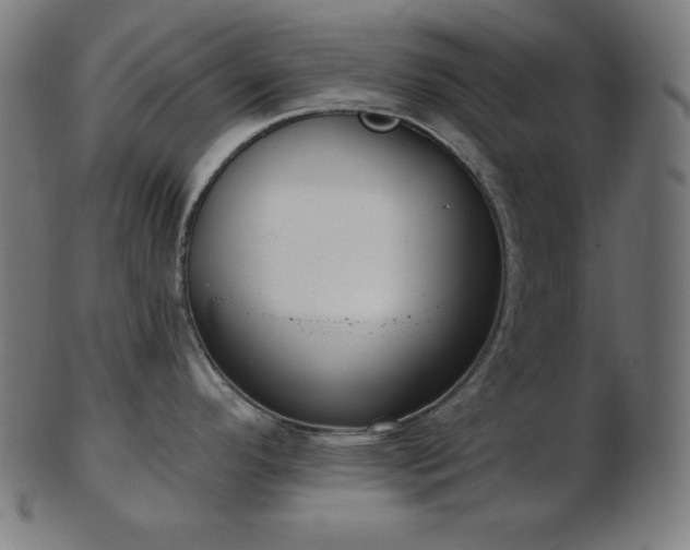 X0000103461296200809121555