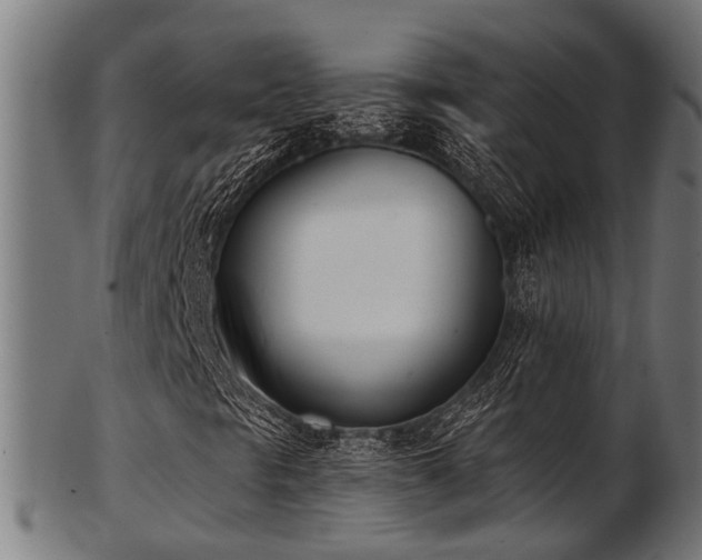 X0000103461297200809121554