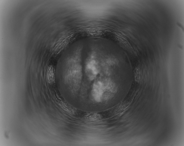 X0000103461298200809121554