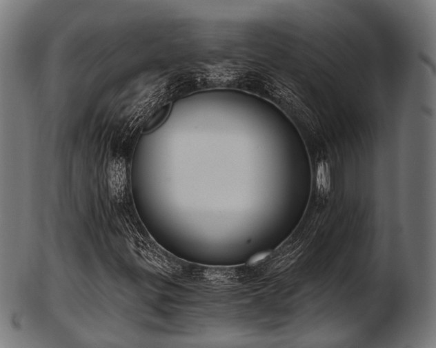 X0000103461299200809121554