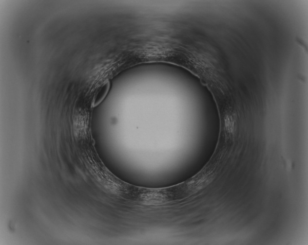 X0000103461300200809121554