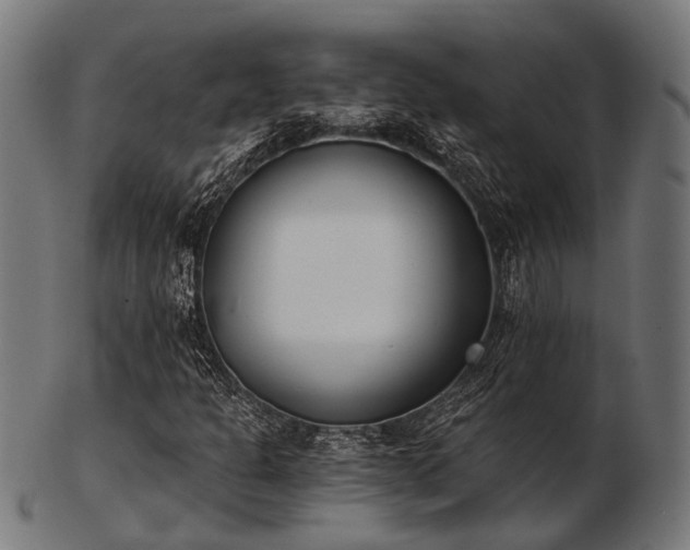 X0000103461301200809121554