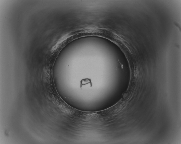 X0000103461304200809121554