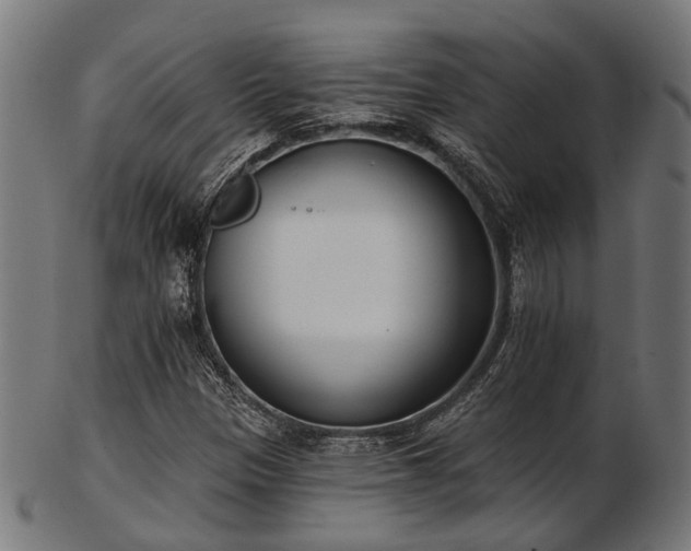 X0000103461305200809121554