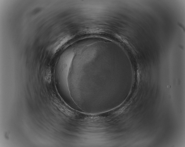X0000103461306200809121554