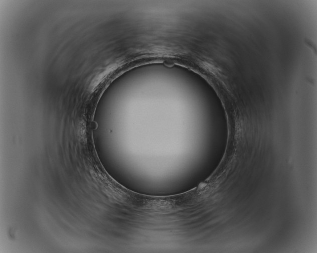 X0000103461307200809121554