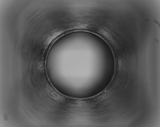 X0000103461308200809121554