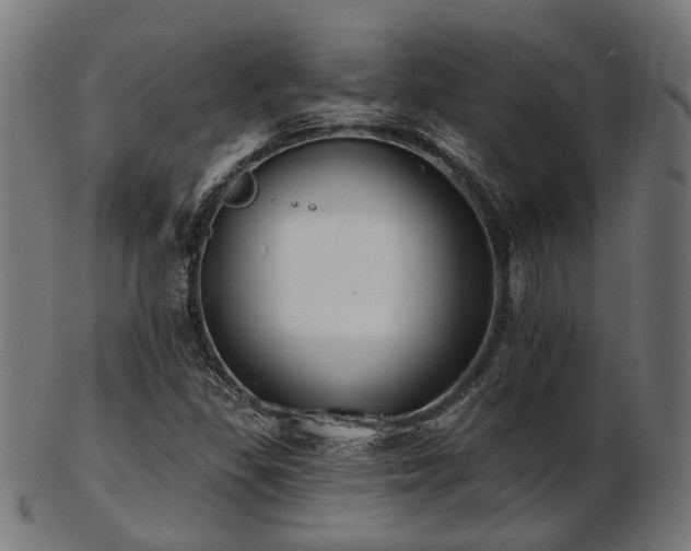 X0000103461309200809121554
