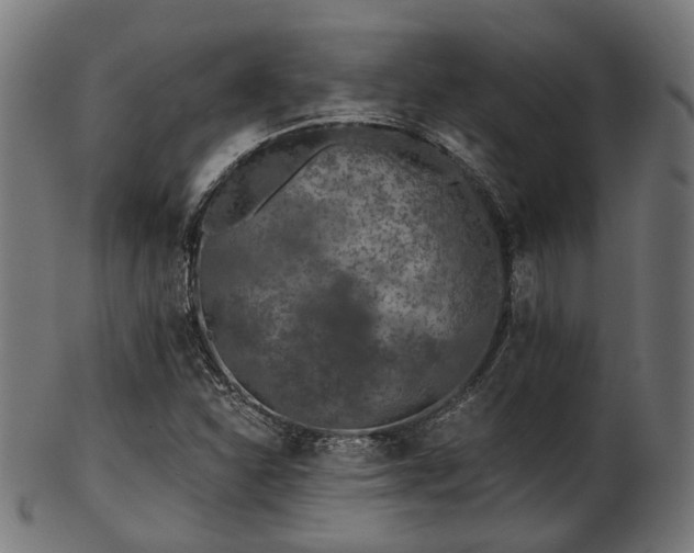 X0000103461310200809121554