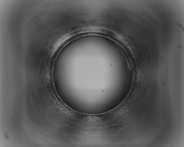 X0000103461312200809121554