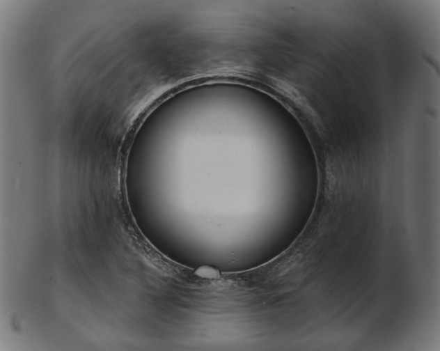 X0000103461316200809121554