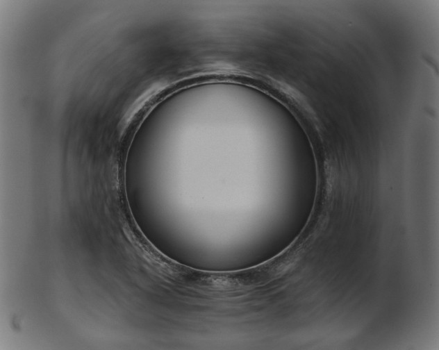 X0000103461318200809121554